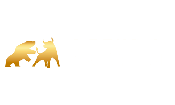 Roc RETURNS ON CAPITAL